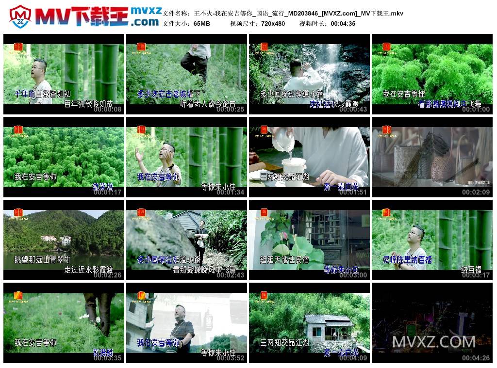 王不火-我在安吉等你_国语_流行_MD203846